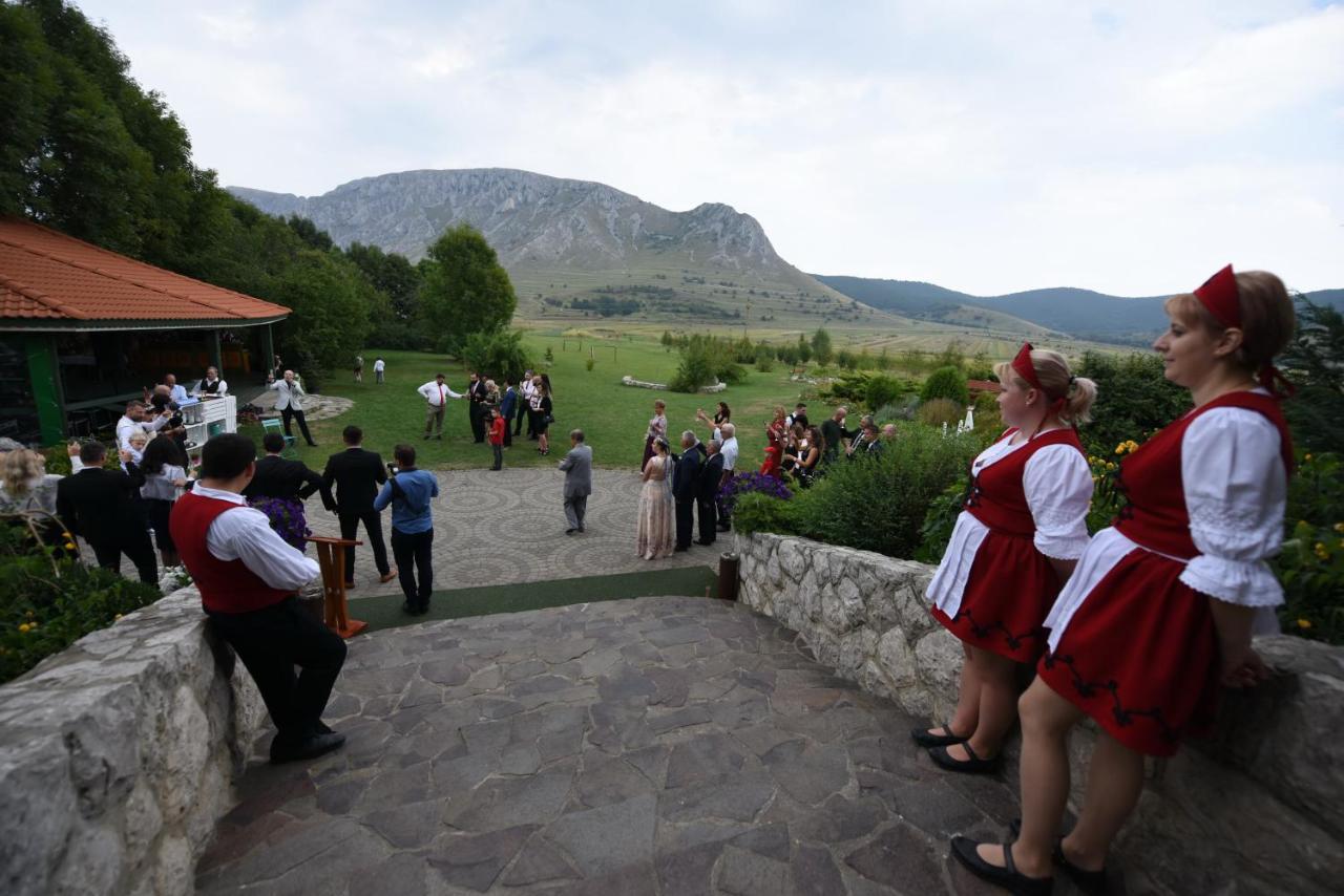 Отель Conacul Secuiesc-Szekelyko Kuria Coltesti Экстерьер фото
